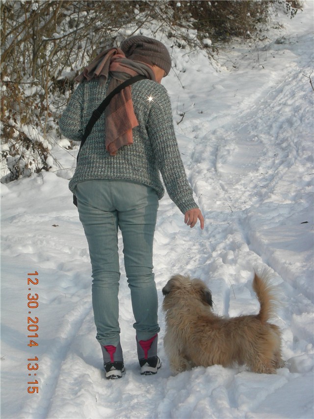 arčilend